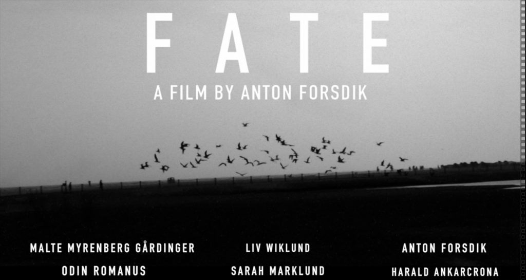 FATE film poster