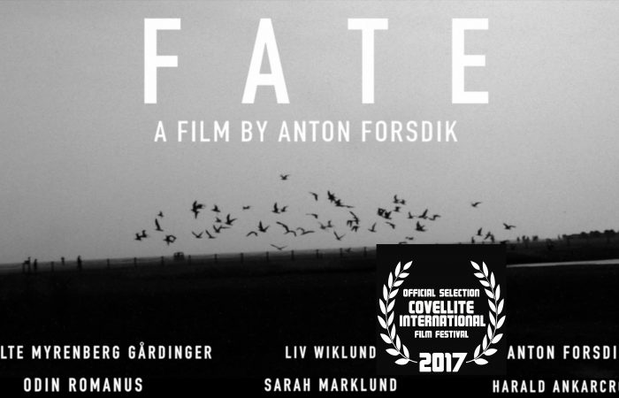Covellite International Film Festival - FATE